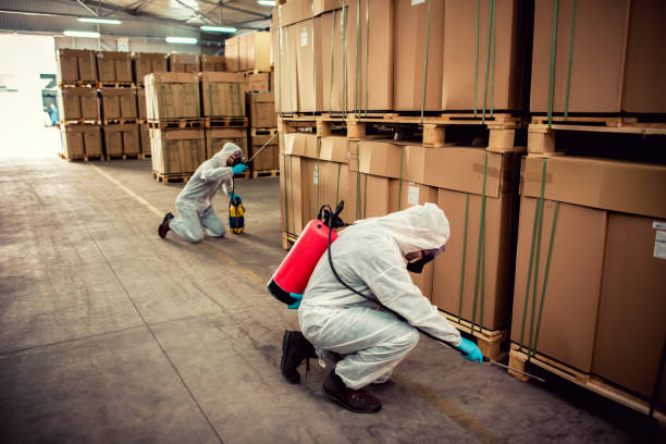 Best Mosquito Control Services  in Lonville, GA