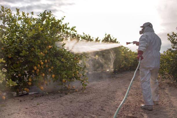 Best Affordable Pest Control Services  in Lonville, GA