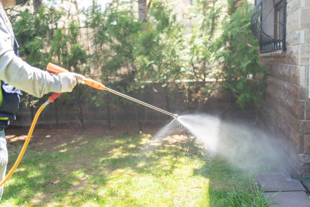 Best Wildlife Control Services  in Lonville, GA