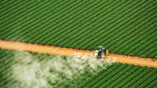Reliable Loganville, GA Pest Control Solutions