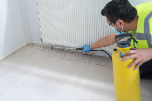 Best Best Pest Control Companies  in Lonville, GA