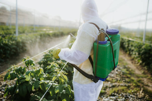 Pest Control for Restaurants in Loganville, GA